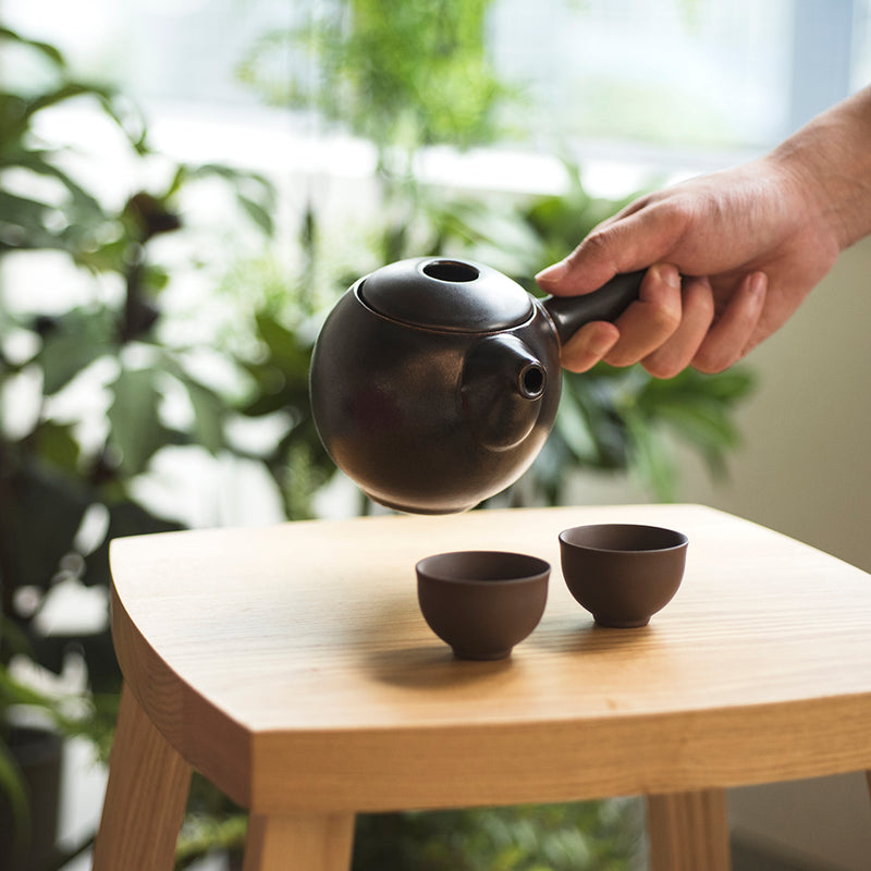 Pro Tea 350ml Kyusu Teapot (Gunpowder)